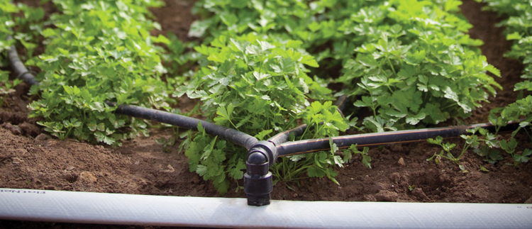 Produits et solutions pour l'irrigation de précision en agriculture