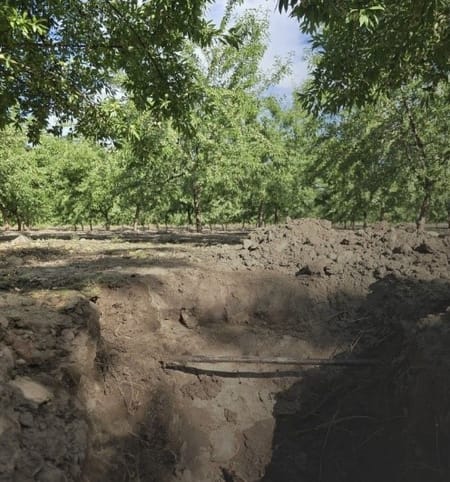 Goutte-à-goutte enterré (SDI) : principes, bonnes pratiques et clés de réussite d’une installation durable