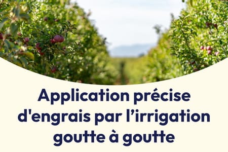 Application précise d'engrais par l’irrigation goutte à goutte