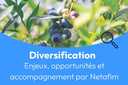 La diversification de l’agriculture française : enjeux, opportunités et accompagnement par Netafim