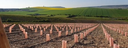 L’irrigation des Plantiers : Conditions, Réglementation et Solutions