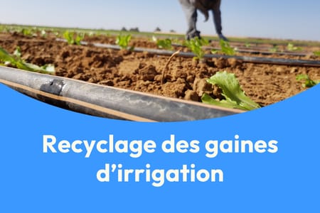 Recyclage des gaines d’irrigation goutte à goutte : enjeux, réglementation et bonnes pratiques