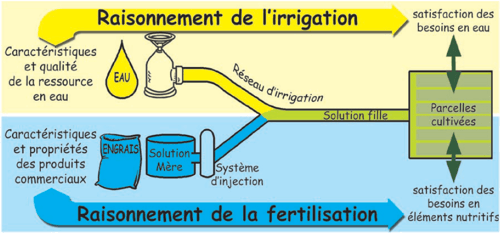 fertirriguer pour réduire le coût des fertilisants