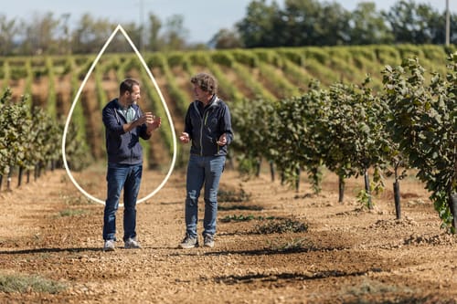 Accompagnement Netafim pour diversification