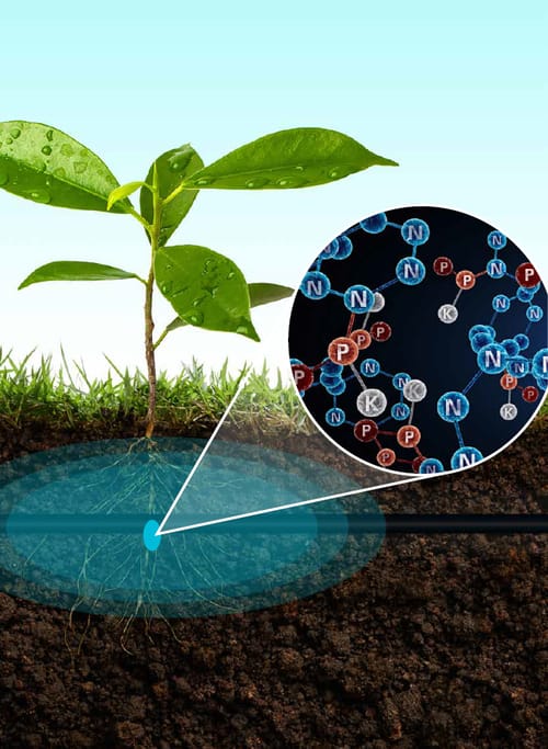 besoins en nutriments spk plante