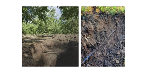 Sol goutte à goutte enterré