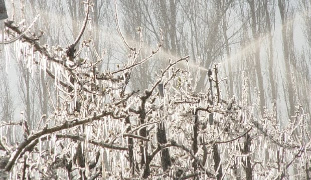 La protection antigel