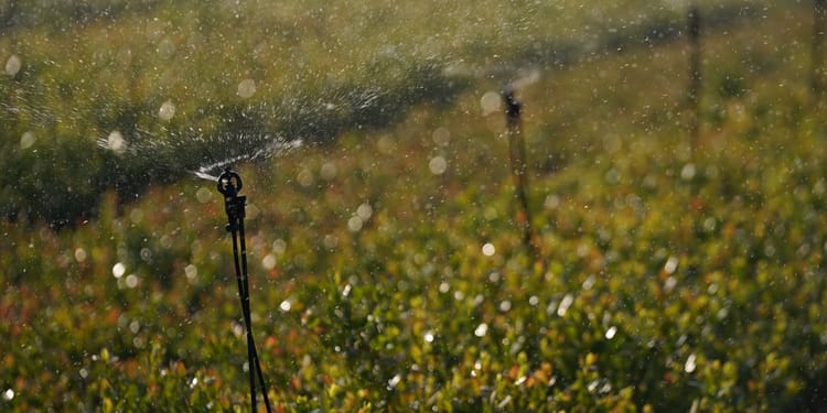 IRRIGATION VIA MICRO-ASPERSEURS - BIEN PLUS QUE L'IRRIGATION