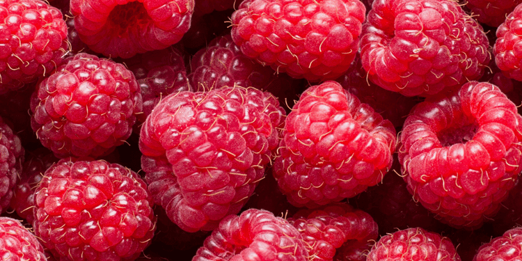 Optimisez votre production de framboises avec l'irrigation de précision