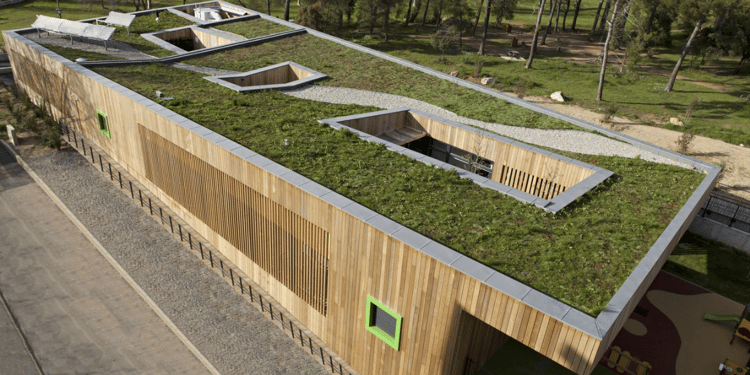 Toitures végétales