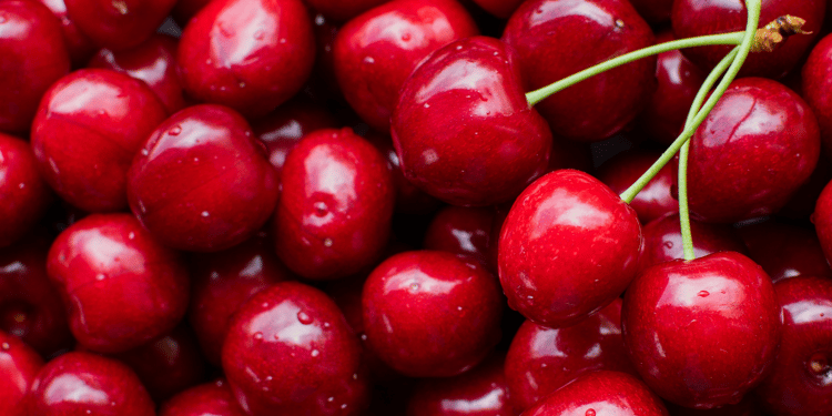 Optimisez votre production de cerises avec l'irrigation de précision