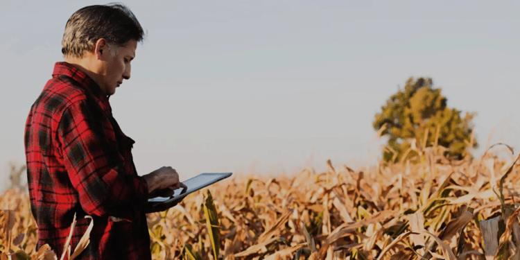OUTILS NUMÉRIQUES POUR L'IRRIGATION DE PRÉCISION