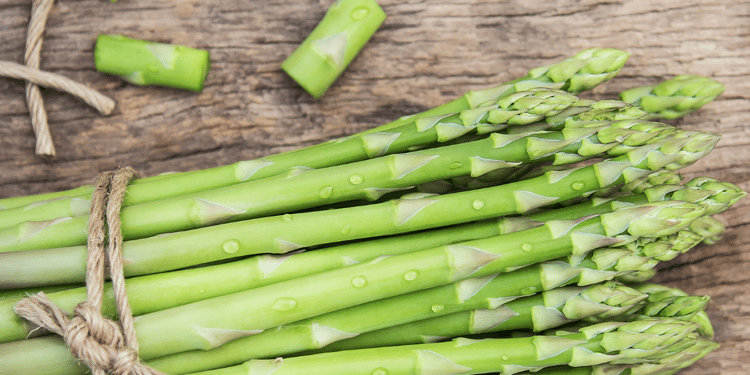 La meilleure irrigation pour vos asperges