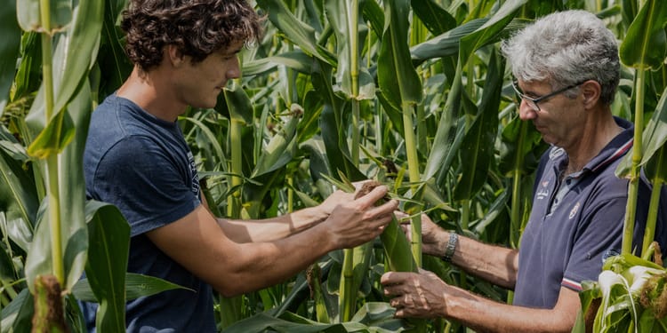 L' innovation par des agriculteurs, pour les agriculteurs