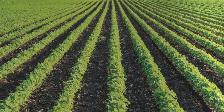 Solutions d'irrigation de précision pour le plein champ et le maraichage