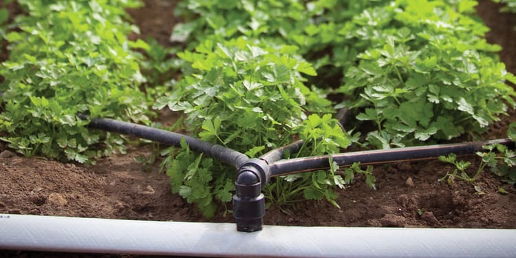 Produits et solutions pour l'irrigation de précision en agriculture