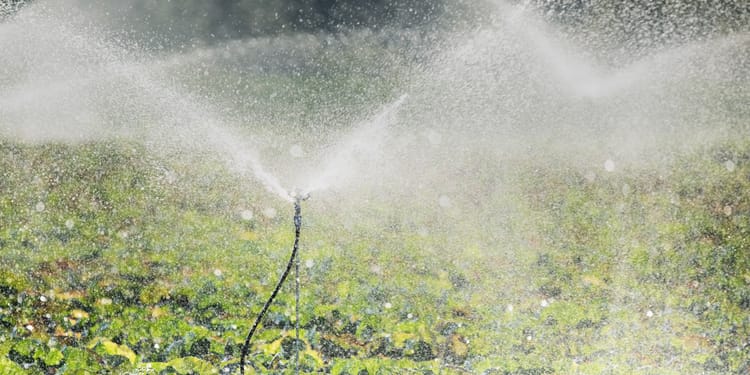 Asperseurs et micro-asperseurs
