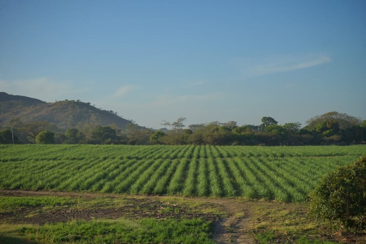 Banner LES ÉVOLUTIONS DANS LE DOMAINE DE LA FILTRATION