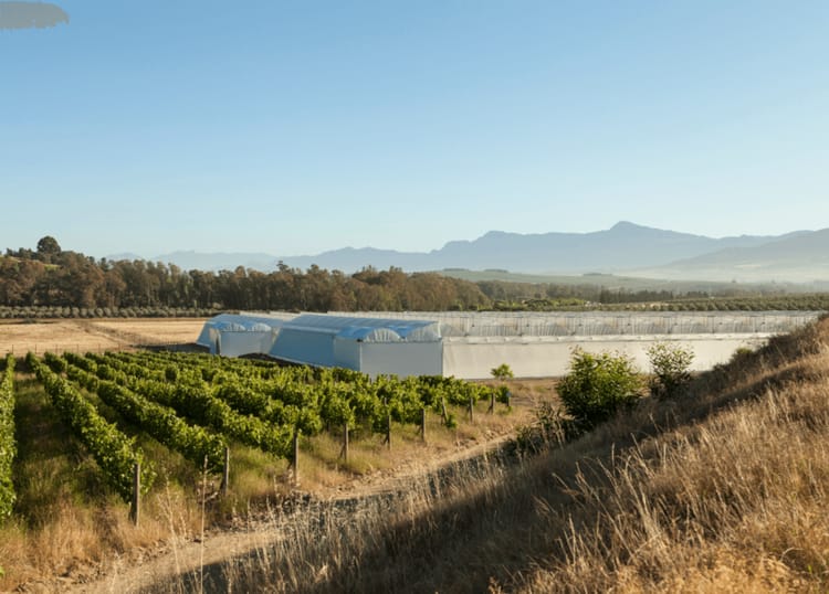 Banner IMPLANTER DES SOLUTIONS D’IRRIGATION POUR L’ENVIRONNEMENT