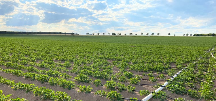 Nous aidons le monde à produire plus avec moins