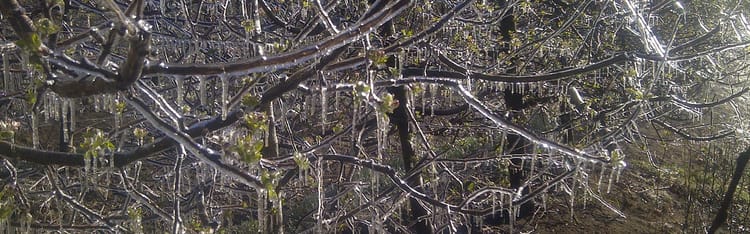 Banner La protection antigel