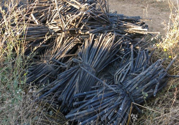 Schéma national de collecte et de recyclage