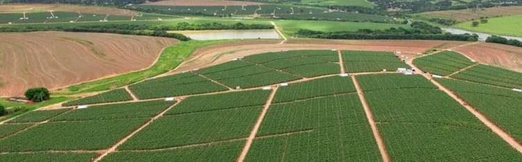 Banner Les opportunités offertes par le Digital et les objets connectés pour la constitution et la distribution de services