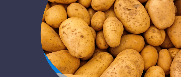 Livre blanc pomme de terre