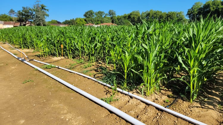 Banner Goutte à goutte : développement de nouvelles applications