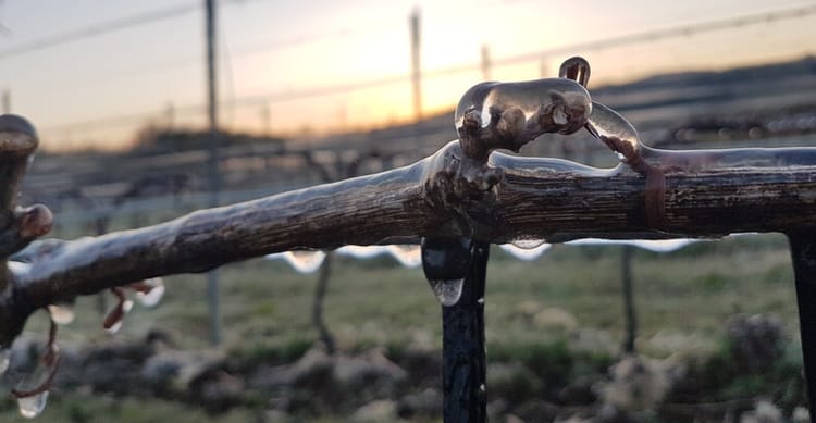 Banner MAÎTRISE DES TEMPERATURES