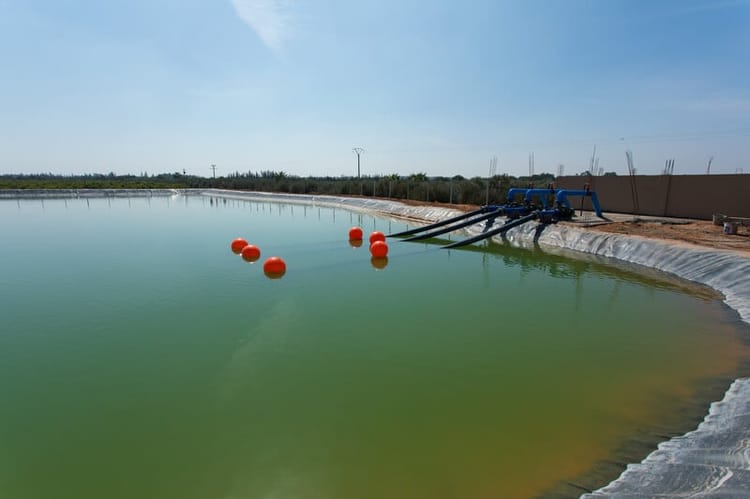 Banner LES EFFLUENTS VINICOLES