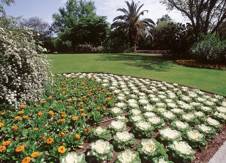 Banner MASSIFS FLORAUX ET ARBUSTIFS