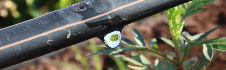 Banner Goutte par goutte, racine par racine