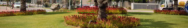 Banner BANDES ÉTROITES ET ILOTS VERTS