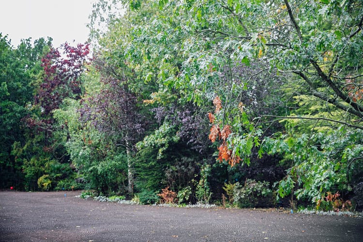 Banner TERRASSES ET ÉVÉNEMENTIEL