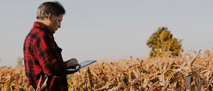 OUTILS NUMÉRIQUES POUR L'IRRIGATION DE PRÉCISION
