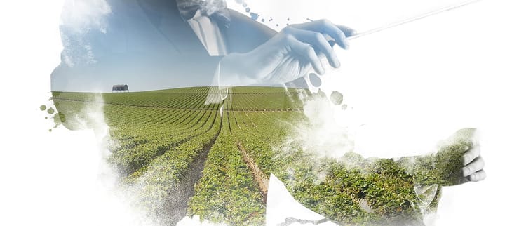 Vous accompagner pour grandir