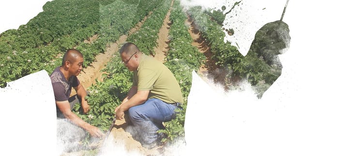 De la conception à la réalisation