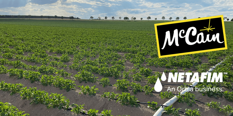 Votre pré-diagnostic OFFERT