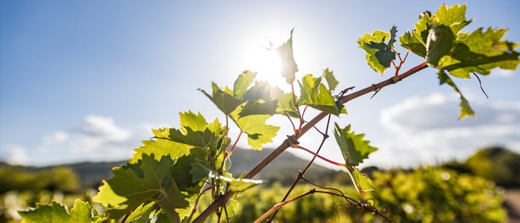 Banner LE CHOIX D'UN SYSTEME