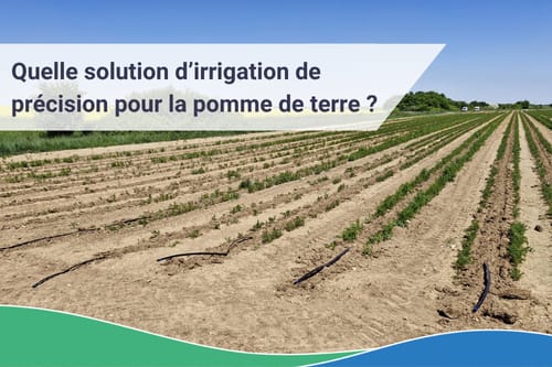 Pomme de terre - Quelle irrigation de précision ?