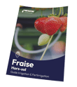Téléchargez notre fiche culture fraise hors-sol