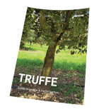 Téléchargez notre fiche culture truffe