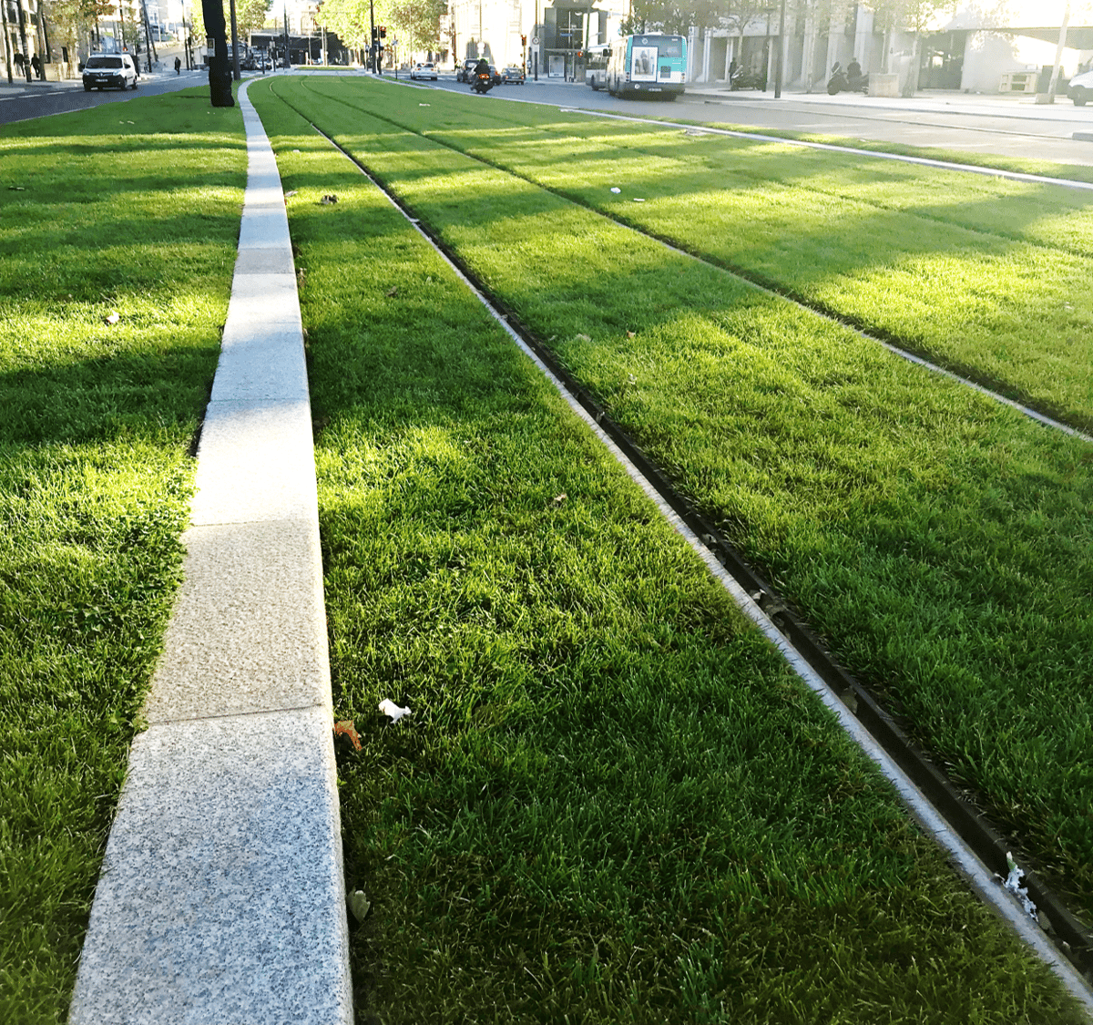 Les différentes techniques d'irrigation d'un tramway