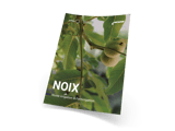 Téléchargez gratuitement la fiche culture noix !