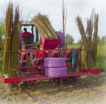 ARROSAGE AVEC DES EAUX USÉES