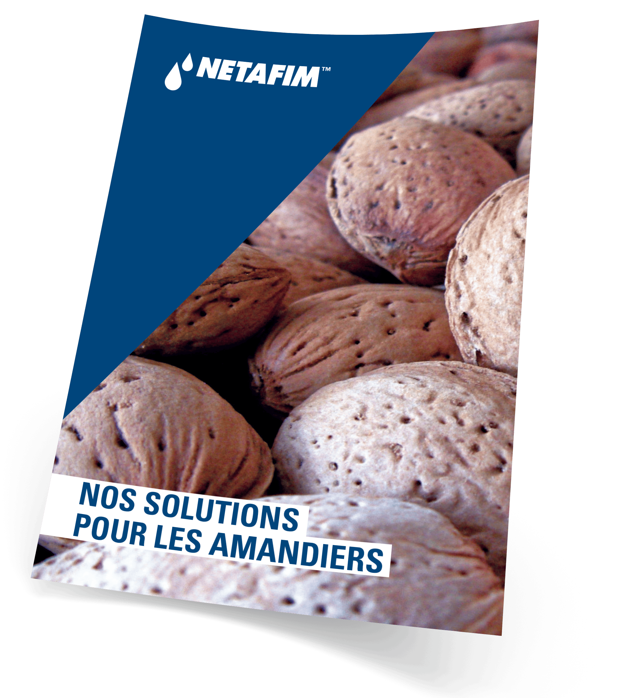Téléchargez notre fiche culture amande