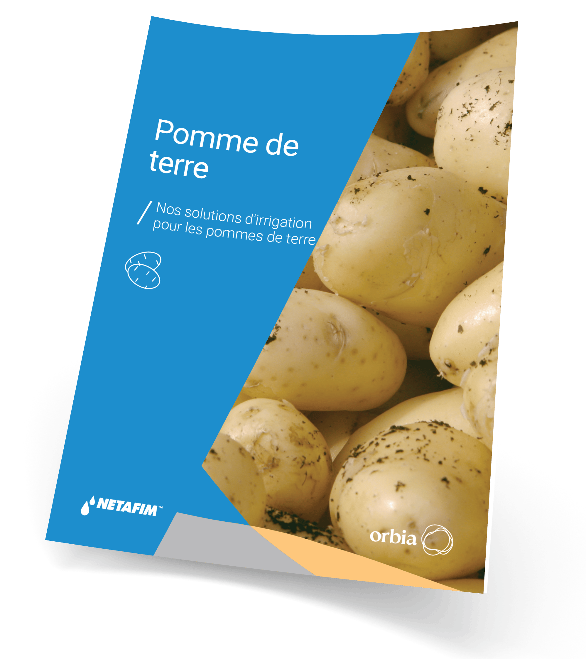 Téléchargez notre fiche culture pomme de terre