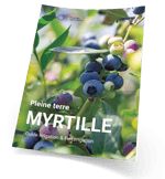 Téléchargez notre fiche culture myrtille pleine terre