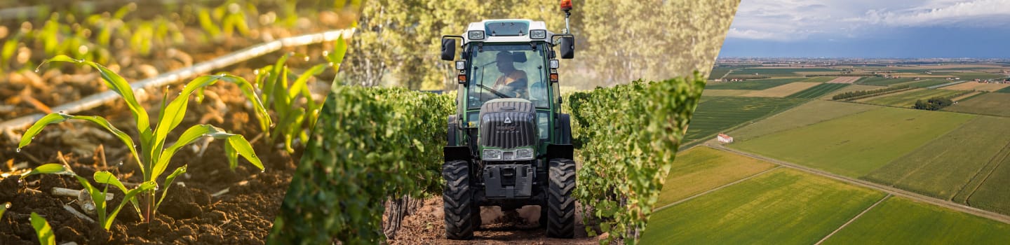 De la plante, à la planète, tout le monde gagne avec l'irrigation de précision